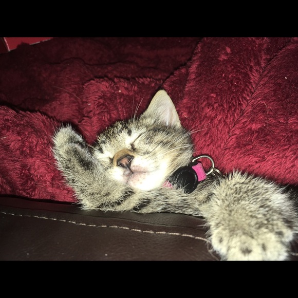 Stop in and say "Hi" :) - Picture 2 of 8